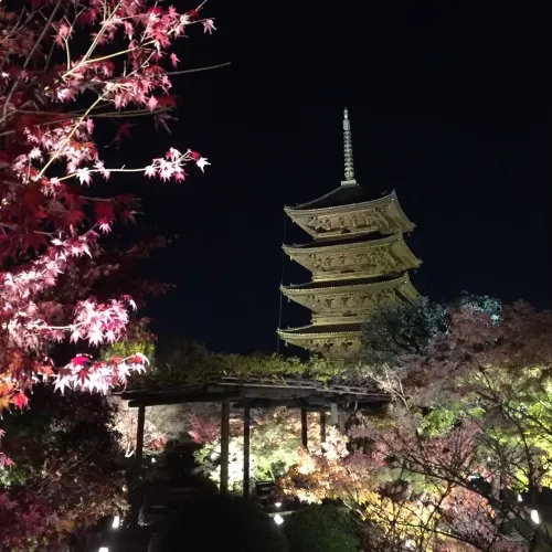 【京都府】東寺で平安時代に思いを馳せる