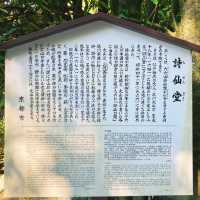 【京都】名庭園と光と影