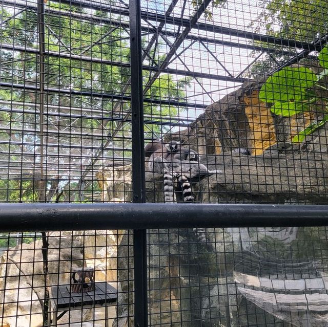 公園特色，歴史