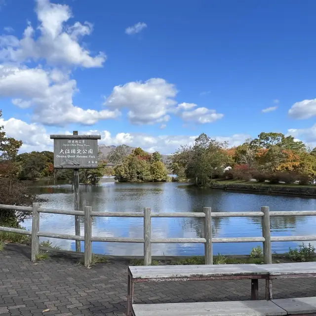 北海道大沼國定公園好漂亮👏🏻👏🏻👏🏻🍂🍁🌲🌿