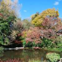 Beautifully landscaped Suizenji Jojuen Garden
