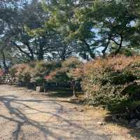 【三重県:松阪】真珠貝モチーフのモナカを食す！