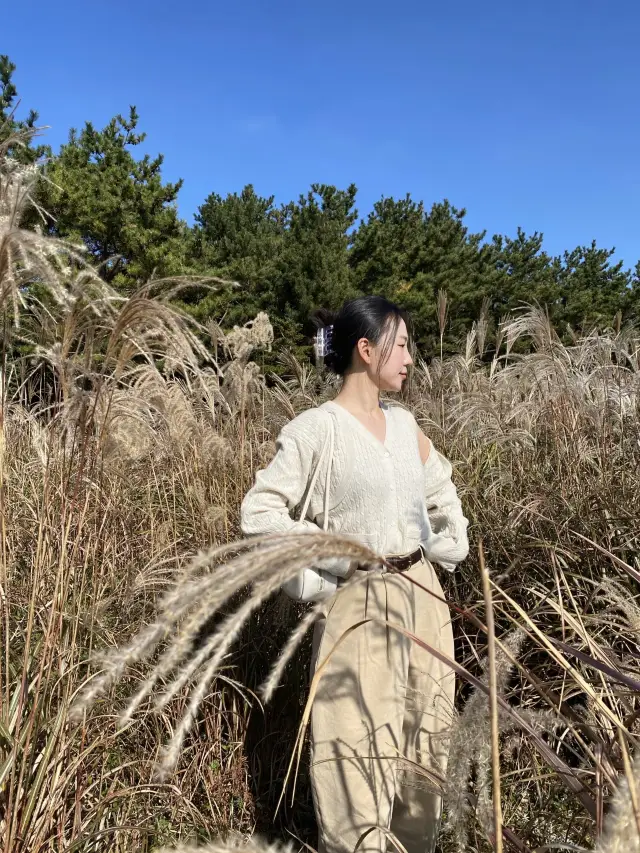 지금 이 가을! 놓칠 수 없다면? 제주 <산굼부리>