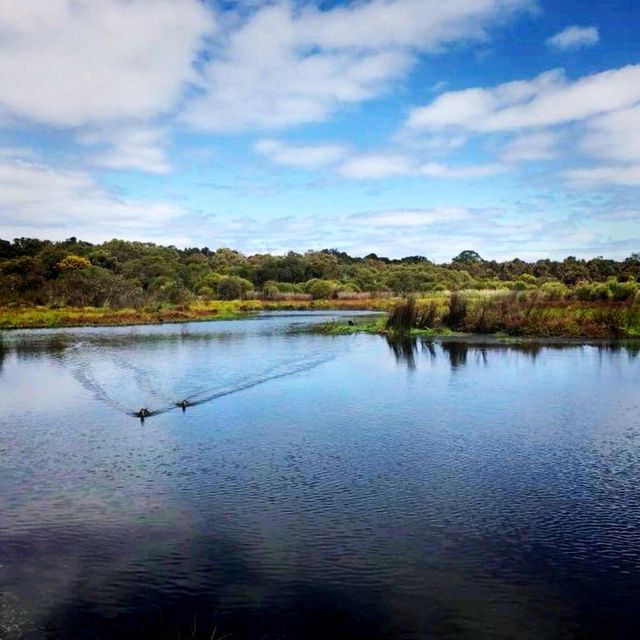 The Outback of Perth, Australia