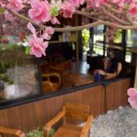 เนินกาแฟที่เชียงราย  ร้านเล็กๆในเมืองเชียงราย