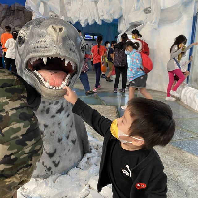 帶大寶小寶OP遊🎢