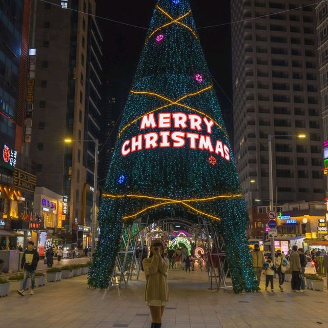 ✨️크리스마스 분위기의 빛의 향연 [부산, 해운대빛축제]