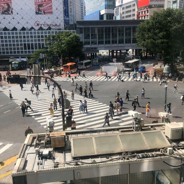 Shibuya's Famous Pedestrian 