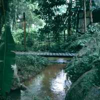 บ้านธารกล่อม นอนฟังเสียงน้ำไหลในอ้อมกอดธรรมชาติ 🌲