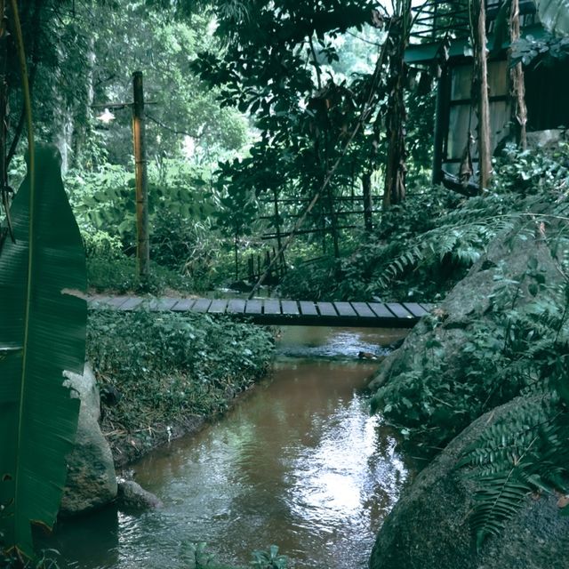 บ้านธารกล่อม นอนฟังเสียงน้ำไหลในอ้อมกอดธรรมชาติ 🌲