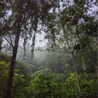 Chiang Dao - Mueang Khong, Thailand