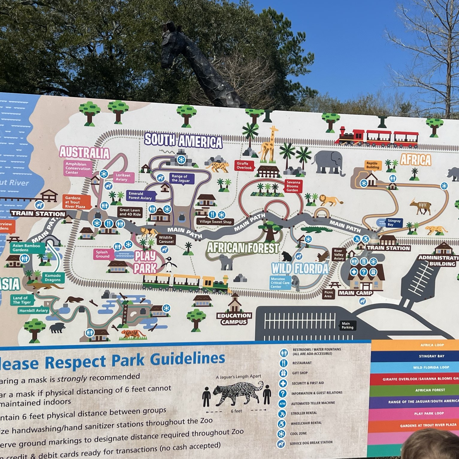 Fun day at Jax zoo and eating Chicken fila