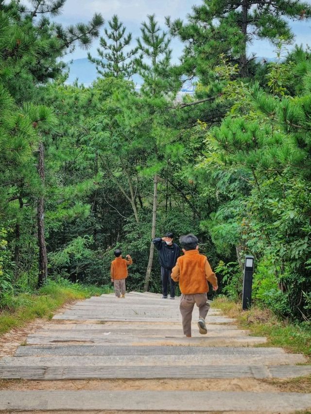 고하도전망대 둘레길! 해상데크와 150세힐링건강계단