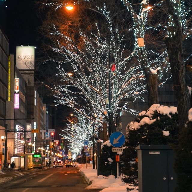 겨울이 예쁜 삿포로 오도리공원 