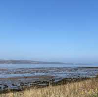 Fairlie beach