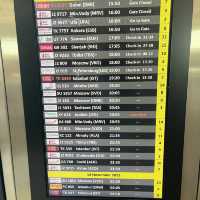 バクーの近代的なヘイダル・アリエフ国際空港