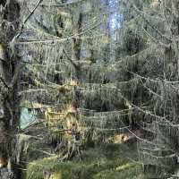 Three Lochs Way-Balloch to Helensburgh 