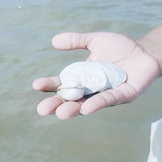 A fun time at the beach