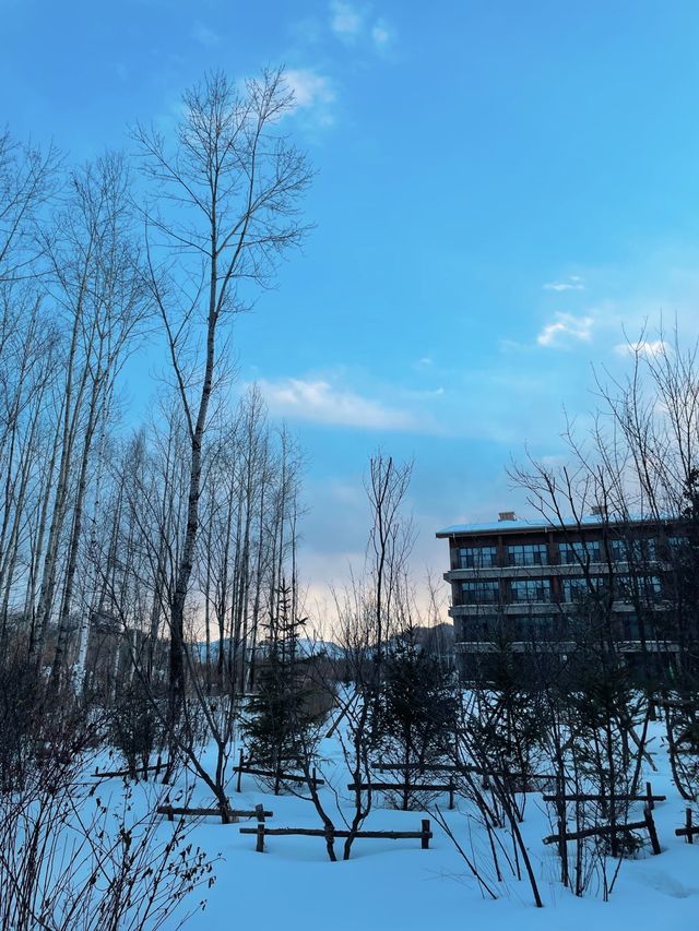 Pullman Resorts, Changbaishan⛸❄️