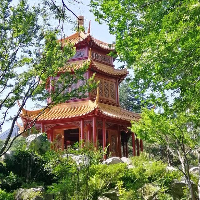 Chinese Garden of Friendship, Sydney