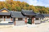 영주 무섬마을 외나무다리