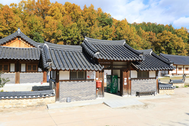 영주 무섬마을 외나무다리