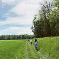 Scenic cycling around Rheinstetten 