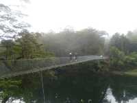 Hiking the Holyford Track into Milford Sound