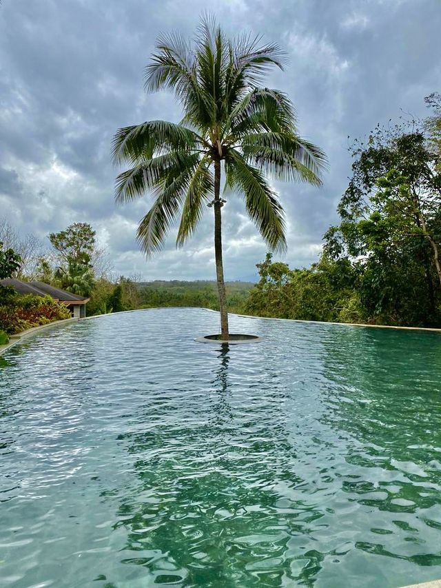Fantastic Resort in the Rainforest 🌿