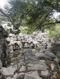 Spring In Yantai 