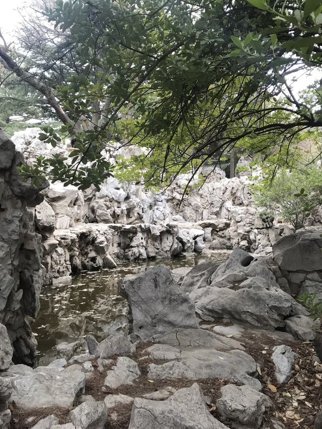 Spring In Yantai 