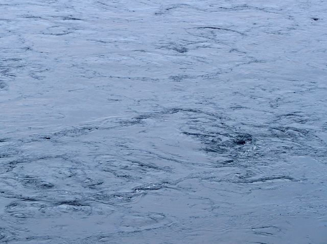 挪威北極地區薩爾特流