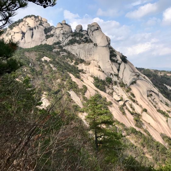 bizarre Drumstick Rock