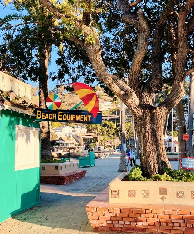 Los Angeles' backyard - Santa Catalina Island.