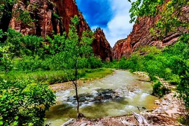 In the park, the scenery is concentrated in the Zion Canyon.