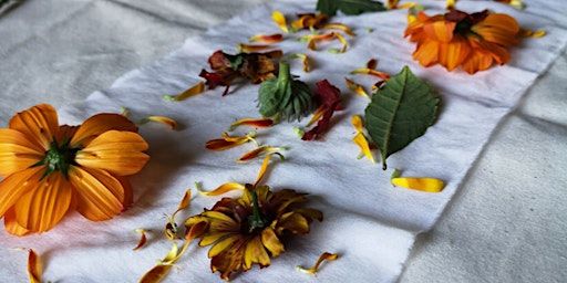 Arts in the Garden- Nature's Palette Workshop: Exploring Botanical Dyes | Sandridge Road Allotments