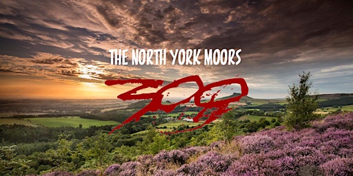 The 2024 North York Moors 300 Individual Time Trial | RedSky Bikes