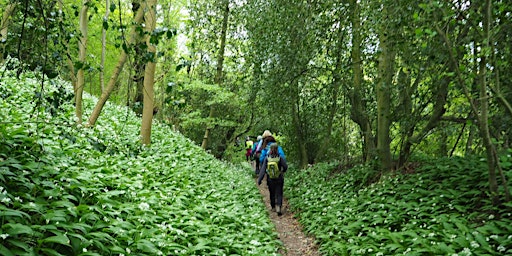 20. Lloyd’s Coppice and Beyond: 7 miles - Dog Friendly (Bank Holiday) | Ironbridge Tollhouse