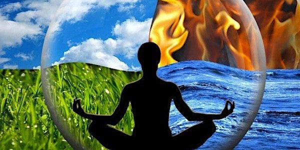 Silva Graduate Masterminds | ReDefine Wellness