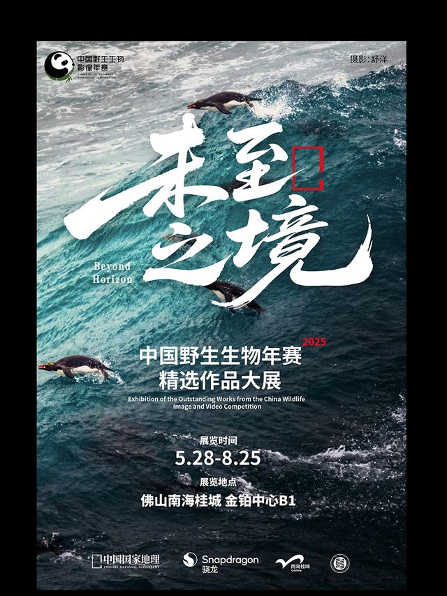 [全國首展]中國國家地理 | 野生生物影像年賽“未至之境”大展｜展覽休閒 | 金鉑中心商場B1層