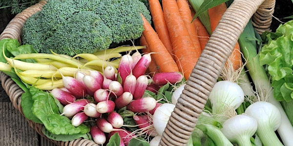Fall Vegetable Seed Starting Workshop in Raleigh | Fifth Season Gardening Co.