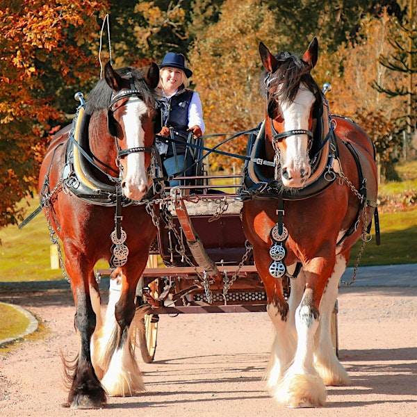 Tour: Horse-drawn carriage ride around Crathes Estate | Crathes Castle, Garden & Estate