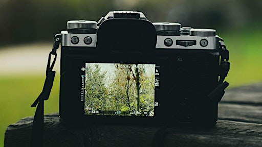 Garden Photography Workshop | 20 Frederick Law Olmsted Way