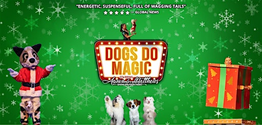 Dogs Do Magic: A Canine Christmas | King's Wharf Theatre