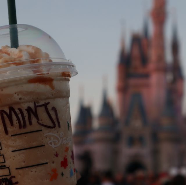 디즈니인턴생이 알려주는 디즈니월드 꿀팁 🏰💖