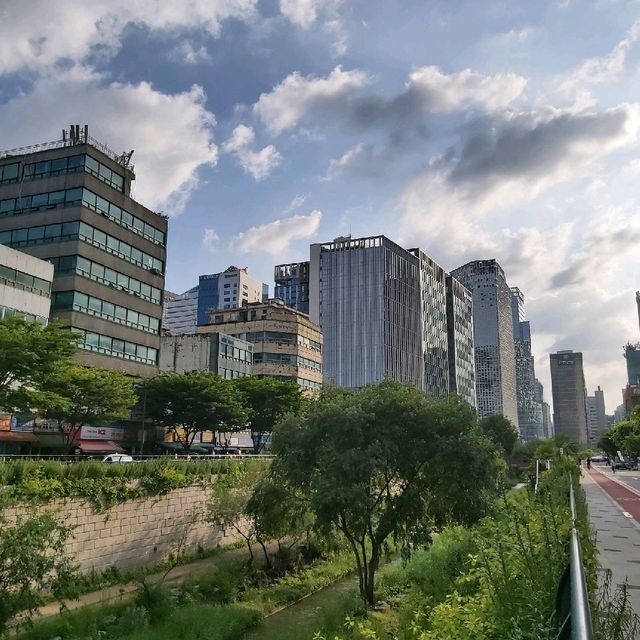 Urban oasis in Seoul