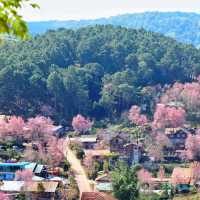 จุดชมวิววัดป่าภูหินร่องกล้า

