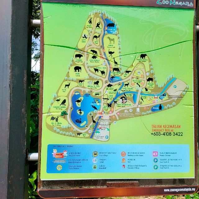 Family One day Trip in Zoo 🦒🐏🦌