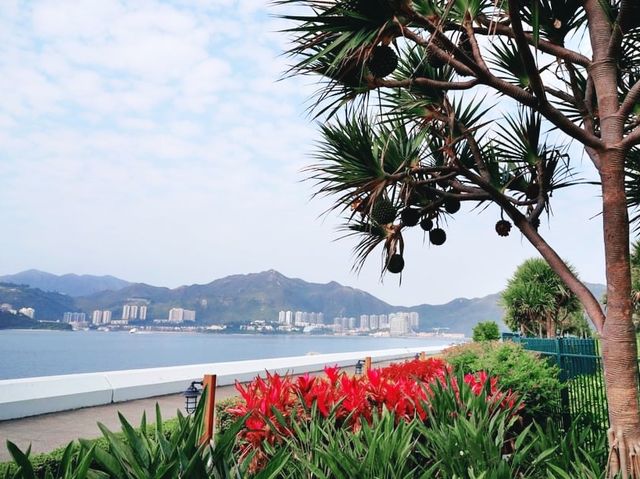 迪士尼海濱長廊無敵海景