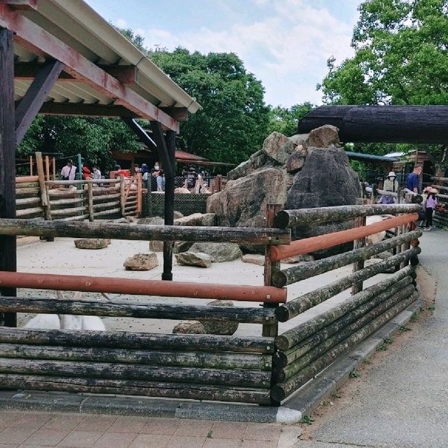 ミニブタと鶏とアヒル　姫路セントラルパーク